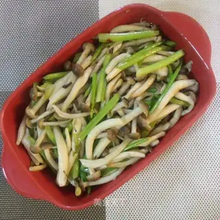 Griffon celery