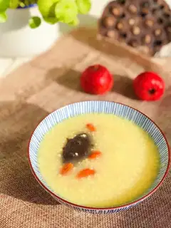 The rice porridge