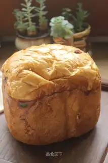 walnut raisin toast
