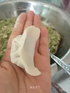 Squid