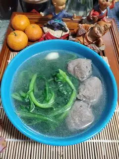 Oscillated beefball soup