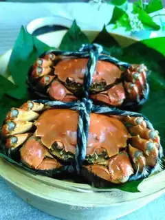 Fresh crabs