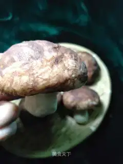 It's like a mushroom bun