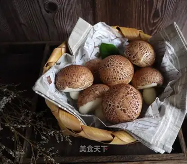 Mushroom-type buns