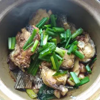 Squidfish meat