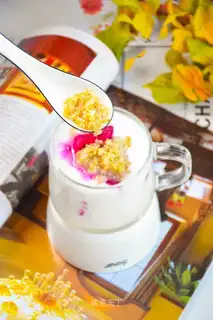 Quinoa fire dragon yogurt