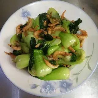 Shrimp's on the sea green