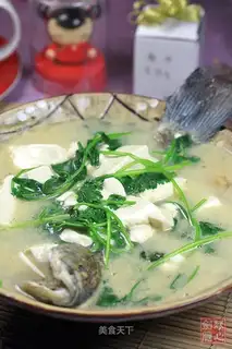 Crucian carp and coriander tofu soup