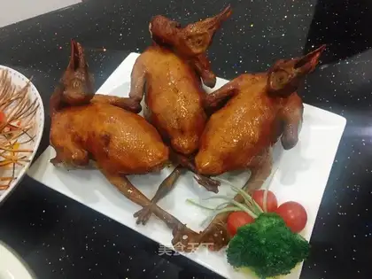 Cricket pigeon