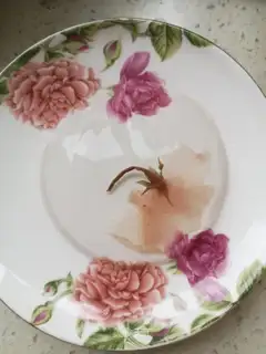 Sakura Little Rabbit