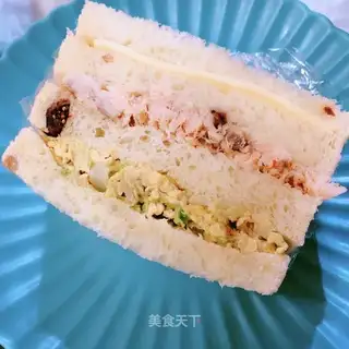 A salmon sandwich