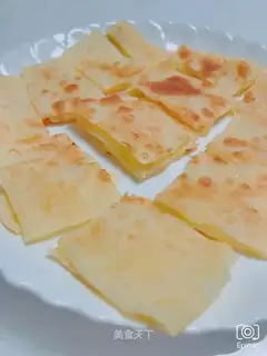 Indian Flies