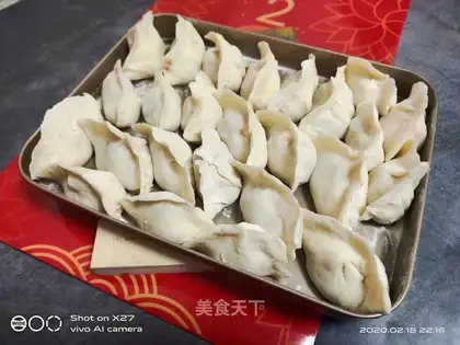 Taco dumplings