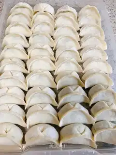 The meat dumplings