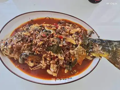 Carp