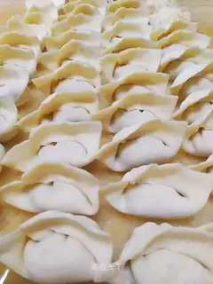 Pork dumplings