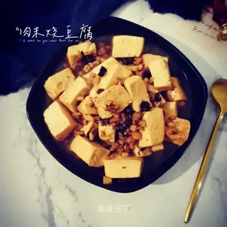 Meat and tofu