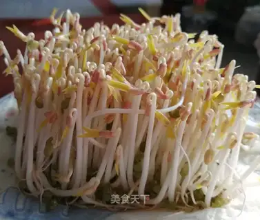 I'm going to use the electric cooker to make bean buds