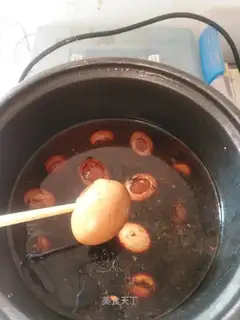 Halo eggs