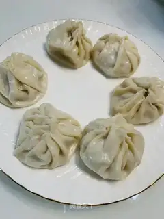 A dumpling chicken soup bag