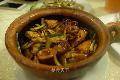 Squid