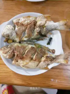 Yellow finfish