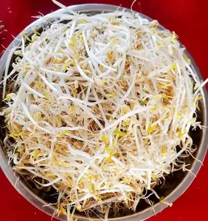 Green bean sprouts