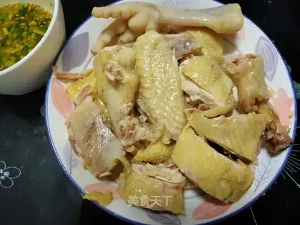 White pheasant