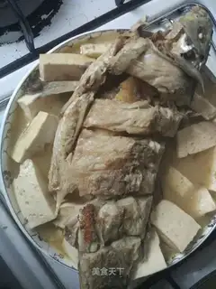 Squirty tofu