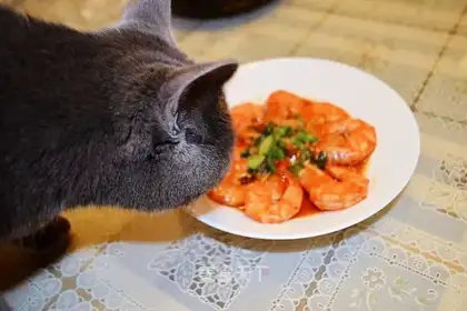 Shrimp