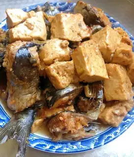 Blue fish tofu