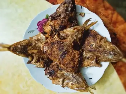 Fried Dragonfish