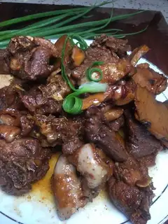 Nan Ginger Duck