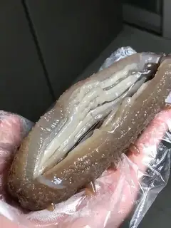 Sea cucumber hair