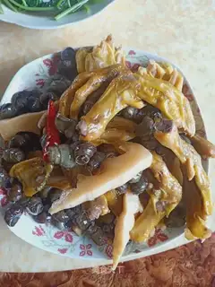 A snail's foot