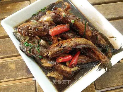 Red catfish