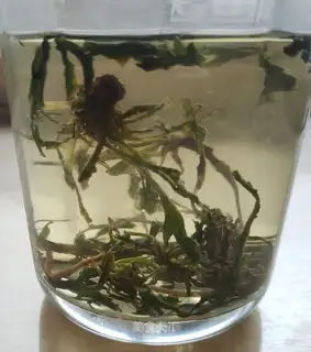 Psychic tea