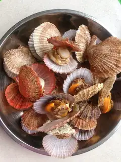Steam scallops