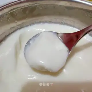 Yogurt