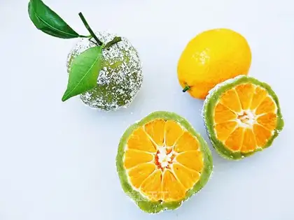 Coconut orange cake