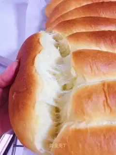 Hokkaido liner