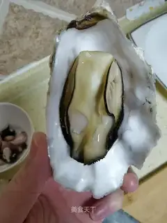 Steamed sea turtles