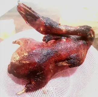 Duck