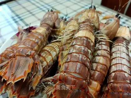 Shrimp