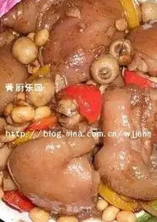 Soybean lotus seed trotters