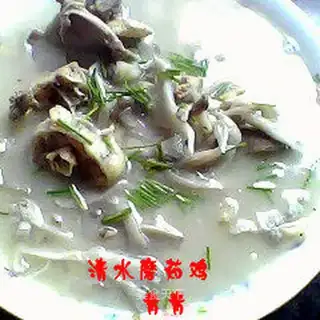 Qingshui chicken