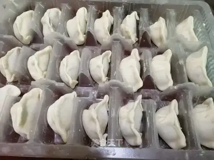 Handmade meat dumplings