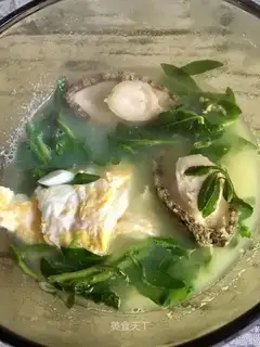 Abalone sprouts