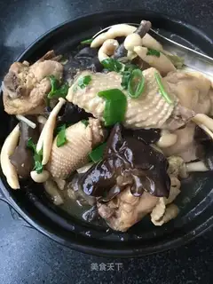 Chicken soup