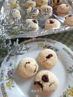Cranberry biscuit